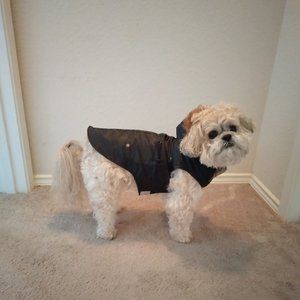 Dog Coat - Cute doggie designer windbreaker - Size L (fits more a M)